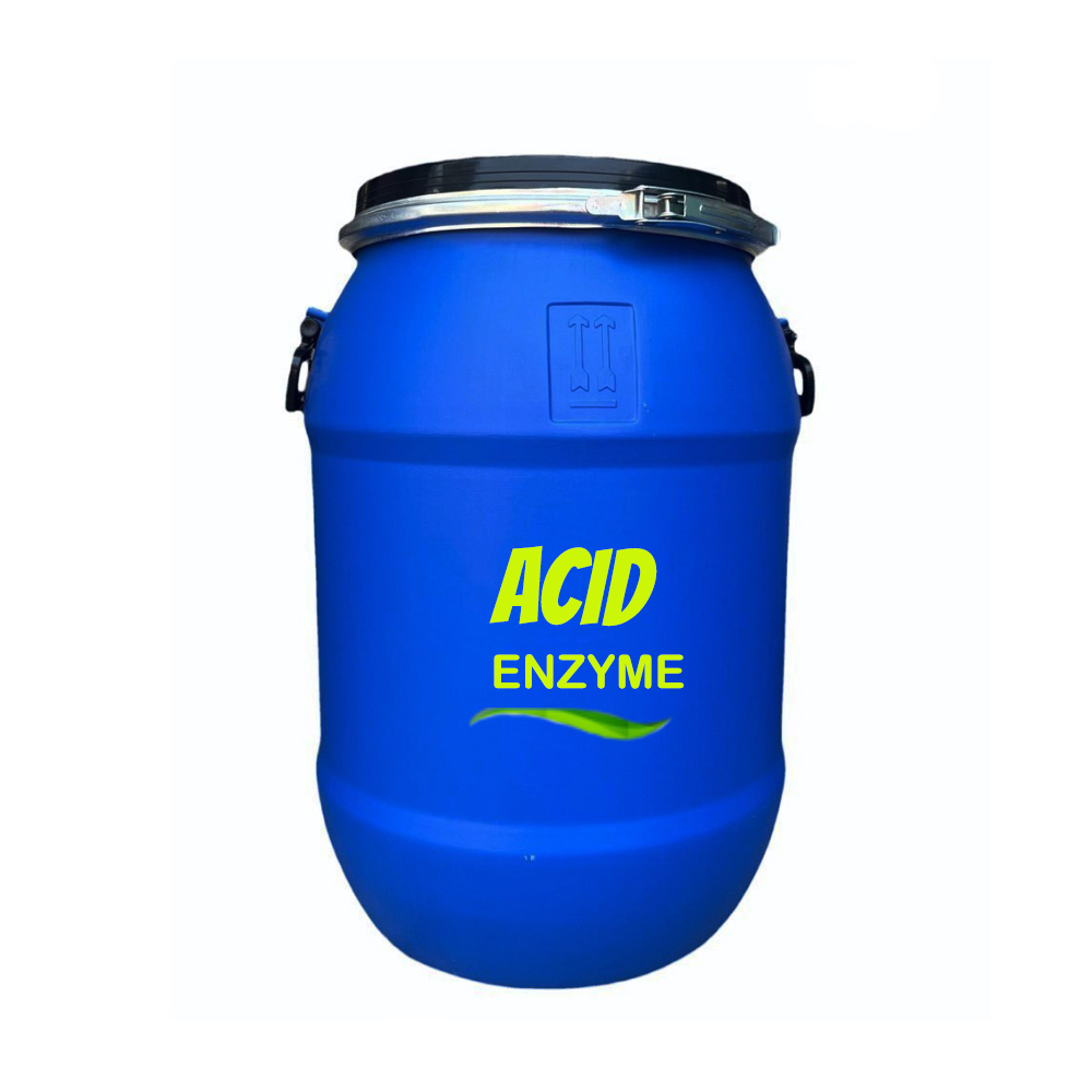 Acid Enzyme